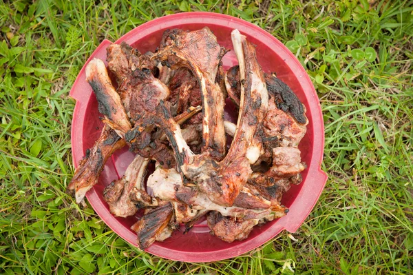 Grilled barbecue in a plastic bowl at the picnic