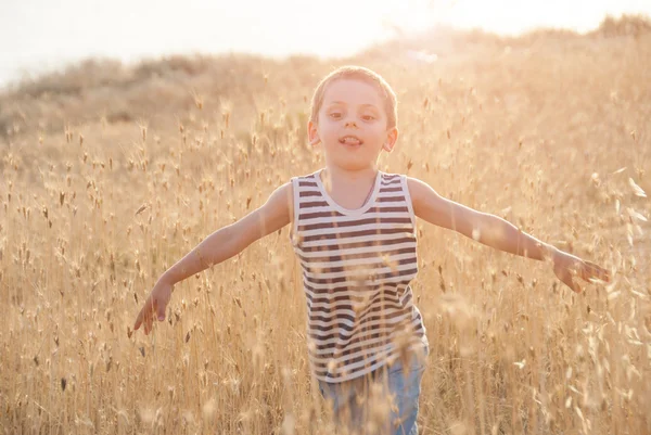 Little boy runs among ears with his arms out to sides