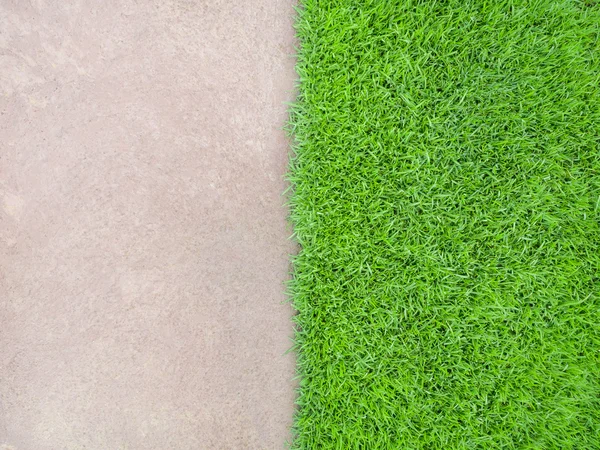 Half and Half Cement Floor and Meadow