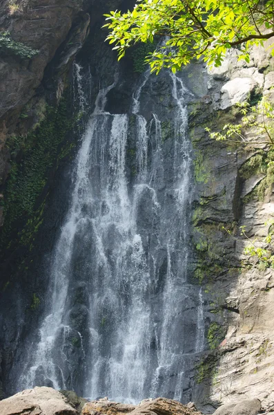 Waterfall is big in forest