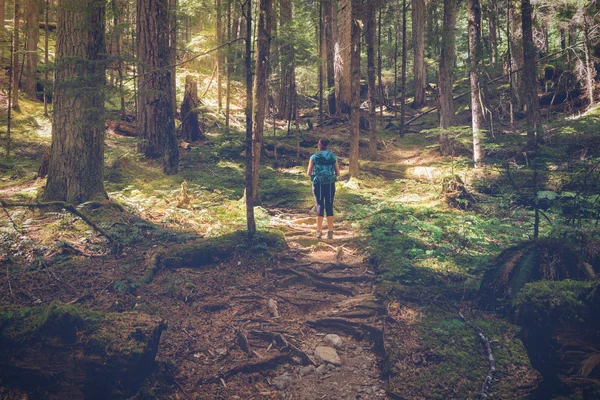 Female hiker on the Upper Myra Falls Trail, Vancouver Island, British Columbia