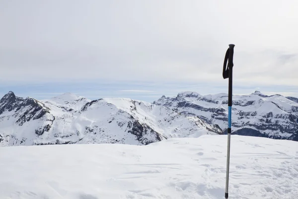 Ski pole in the high of a mountain