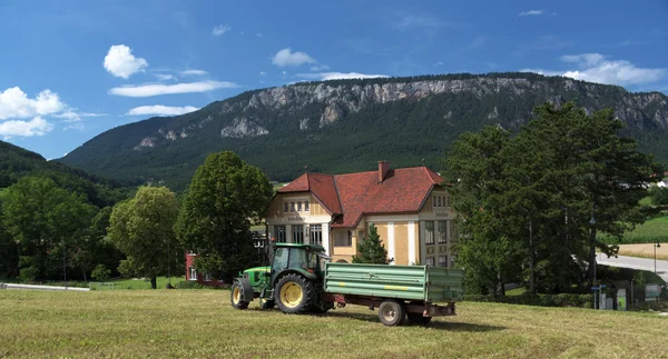 Village school in the Alps mountains