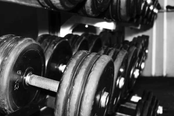 Sports dumbbells in a gym