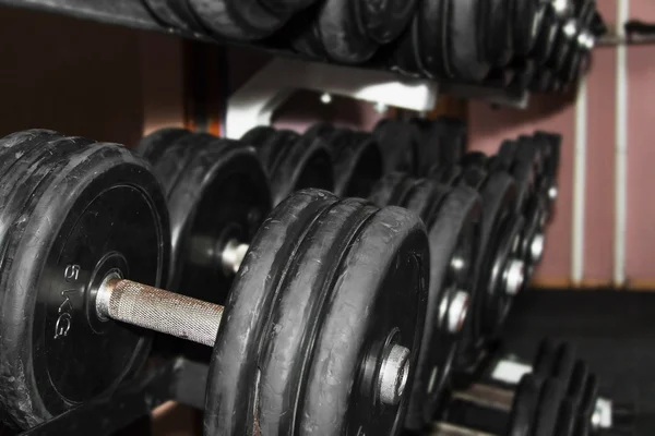 Sports dumbbells in a gym