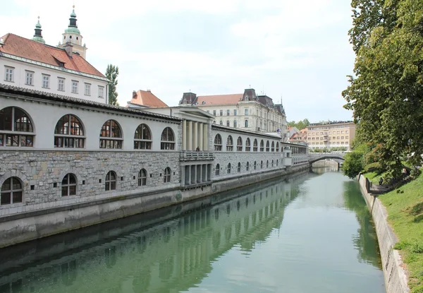 River in Ljubljana from Dragon Bridge, Slovenia