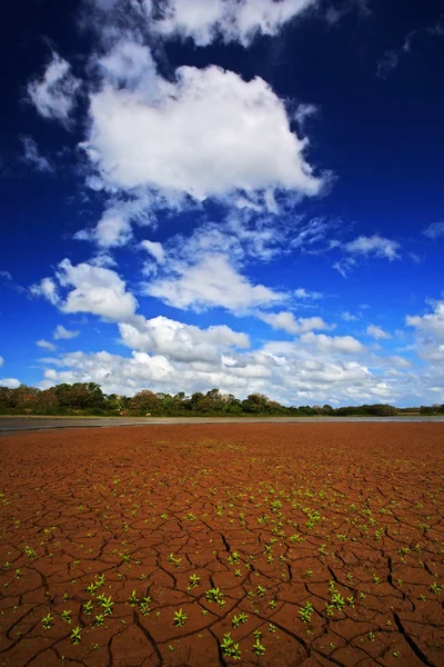 Dry ground in hot summer