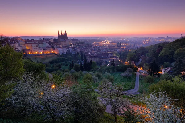 Twilight morning in Prague