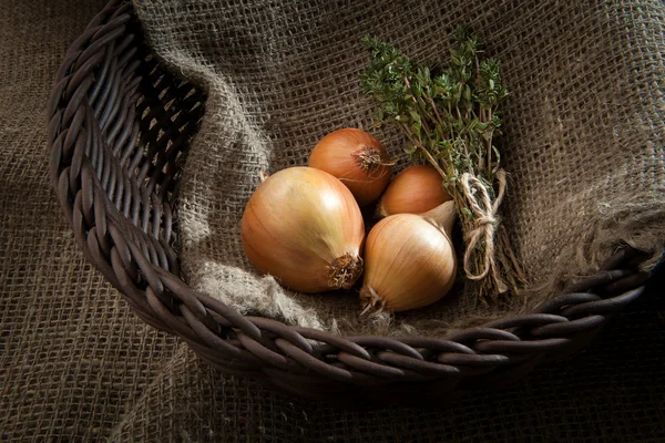 Bulb onion and sheaf thyme