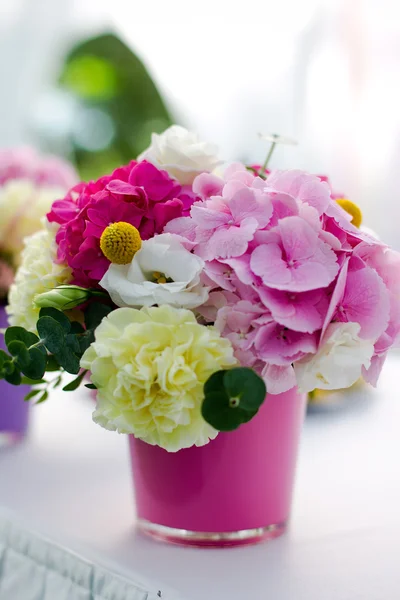 Bright flowers hydrangea