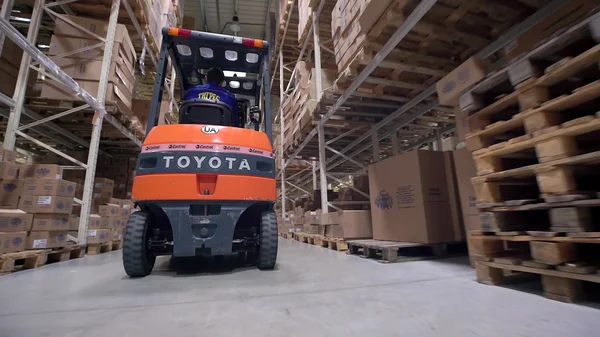Logistics business and shipping facility with manual worker operating forklift to move boxes and goods, man working in warehouse, worker in industry