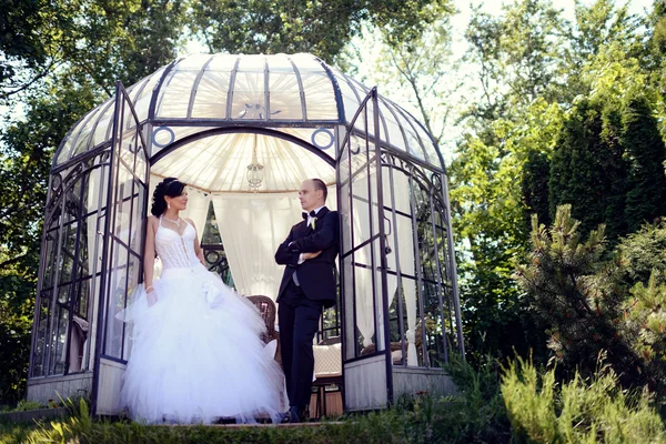 Beautiful Wedding couple in park