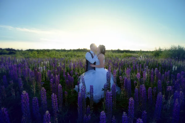 Bride and groom hugging in lavender field