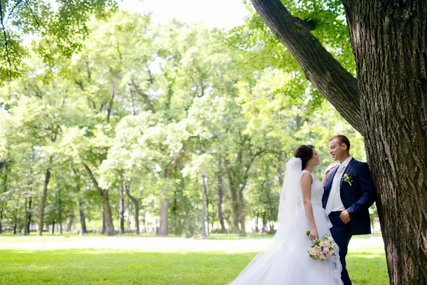 Beautiful bride and groom in park