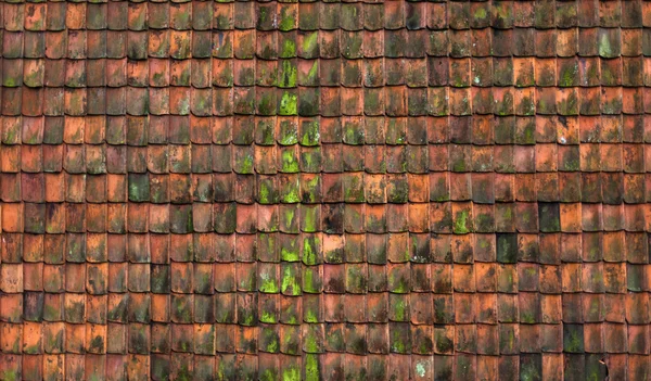 Red tile. Detail of the roof of the Netherlands.