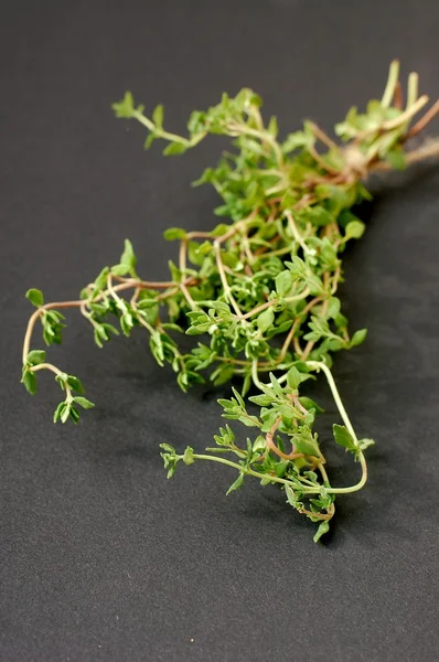 Fresh green herb thyme on black background