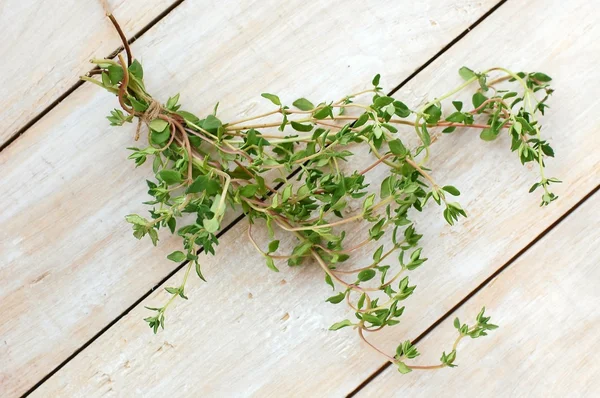 Fresh green herb thyme on white wooden background