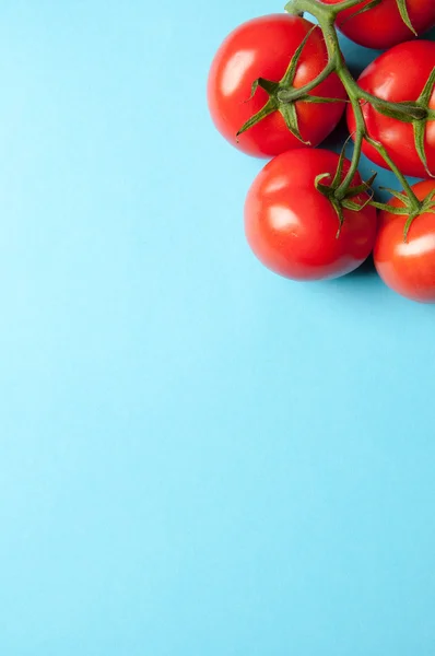 Five fresh tomatoes on a blue background from above with text sp