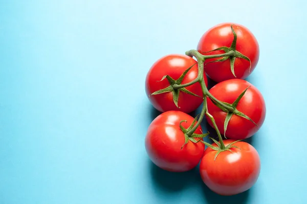 Five fresh tomatoes on a blue background from above