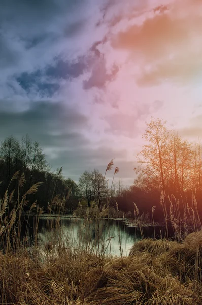 Winter or early spring landscape of field with raised hide under