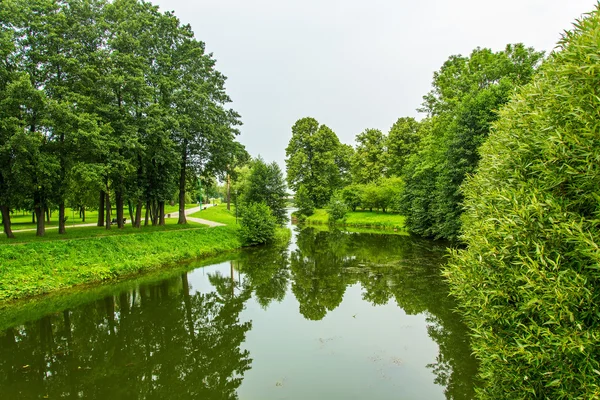 The river banks are covered with green grass and green trees in