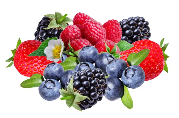黑莓、 树莓、 草莓和蓝莓,孤立 - 图库照片iliet