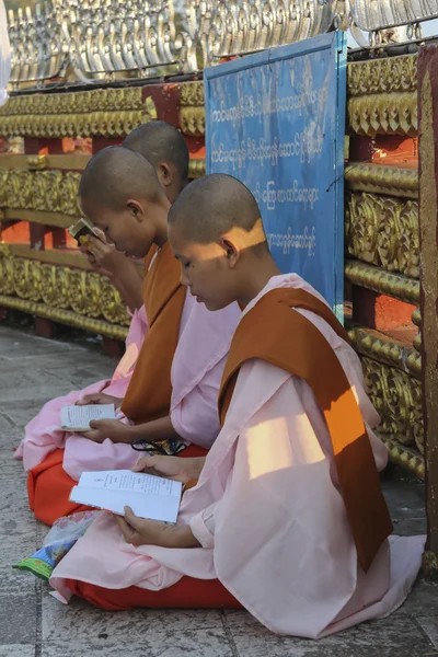 MYANMAR, GOLDEN ROCK IN KYOTO . 23 MARCH 2013.  PRAYING MONKS