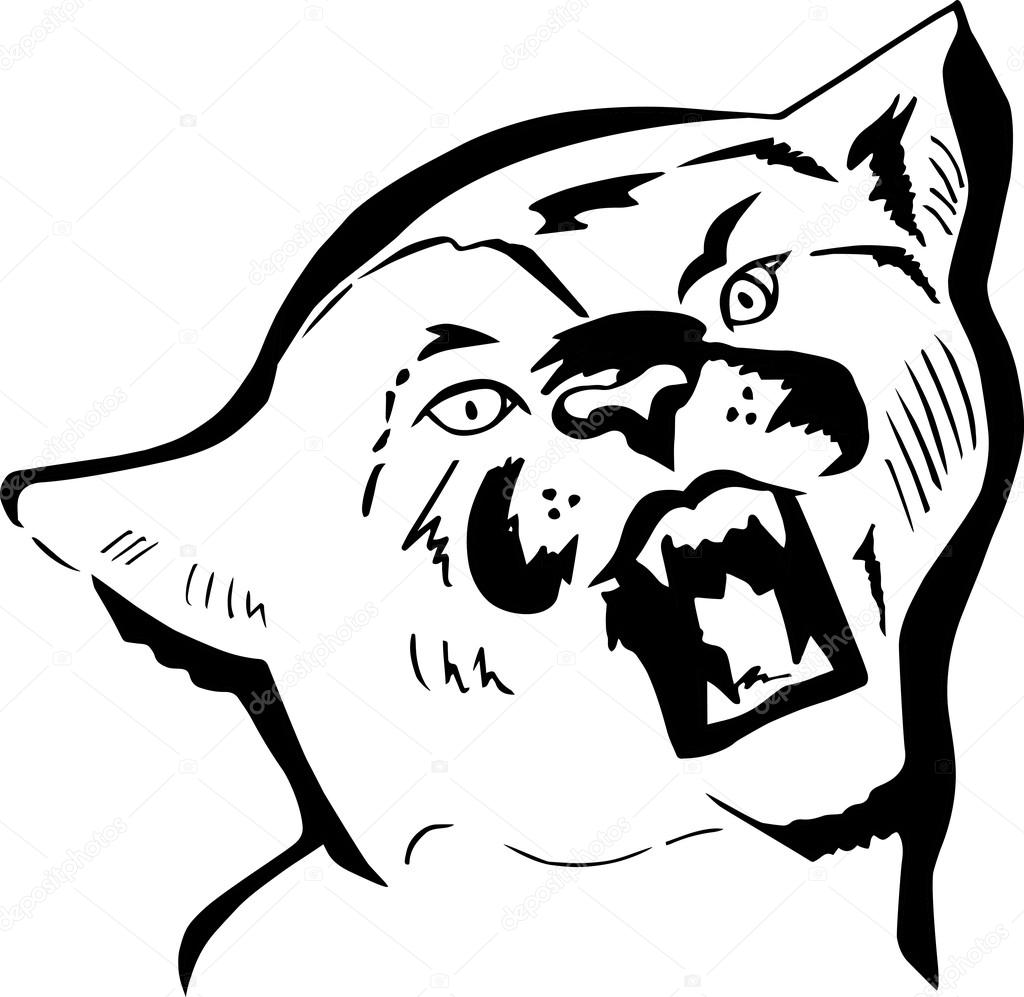 Hand gezeichnet Puma Kopf. Vektor — Stockvektor © NataliaVarlamova