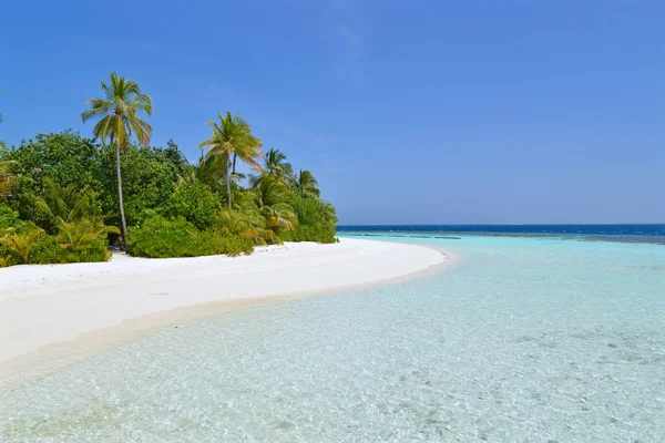 Remote island with white sand and turquoise sea, Maldives