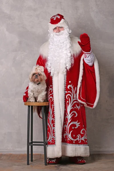 Father Frost with little dog.