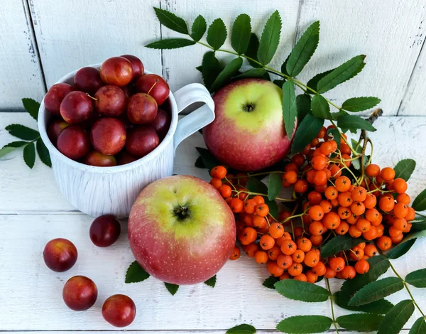 Gifts of autumn: apples, cherry plum, mountain ash on a white background.