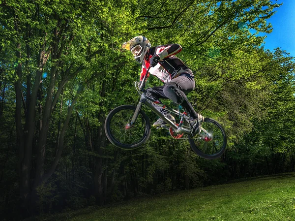 Young bmx bicycle rider on background of trees