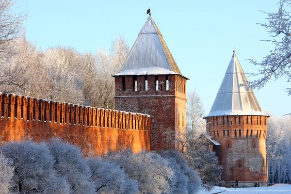 Beautiful wall, winter castle