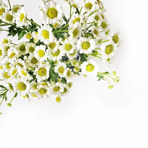 Chamomile bouquet on white background.