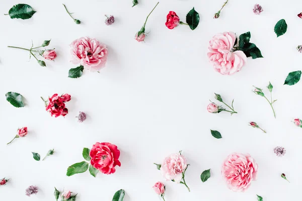 Round frame wreath pattern with roses