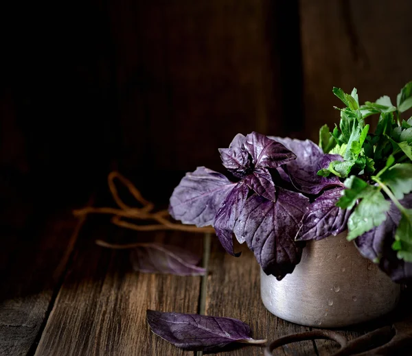 Fresh purple basil