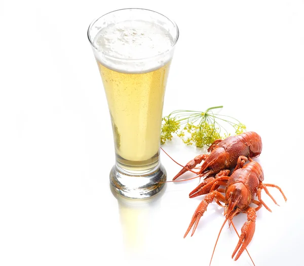Boiled crawfishes and beer