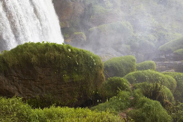 Pictorial moss against the waterfall landscape, magical world