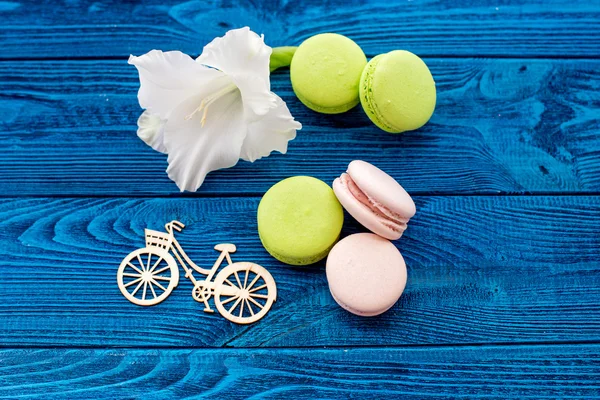 Colorful macaron wooden blue background with flower gladiolus. Flat lay