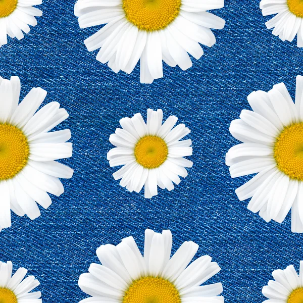 Daisy flowers seamless pattern on jeans background
