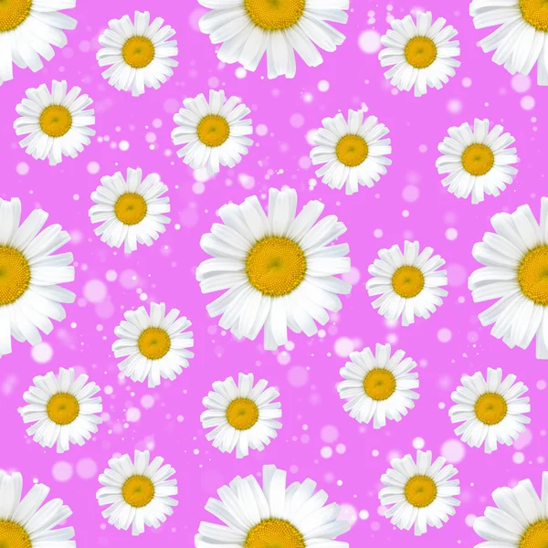 Daisy flowers seamless pattern on abstract background