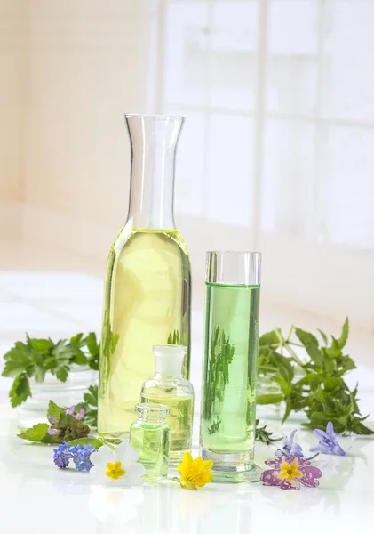 Essential oils for aromatherapy treatment with fresh herbs