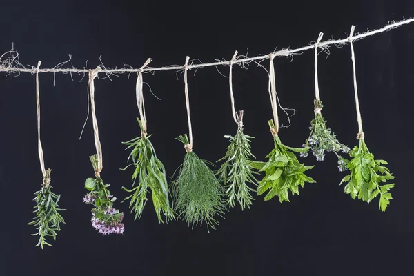 Fresh herbs hanging isolated on black background