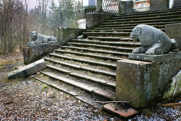 Lion staircase of the abandoned mansion
