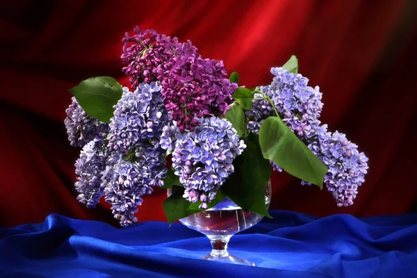 Still-life with bouquet of lilac in decorative vase