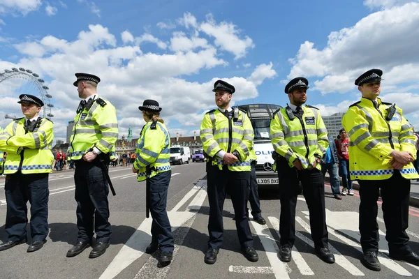 Police officers stand guard during a rally protesting government public sector
