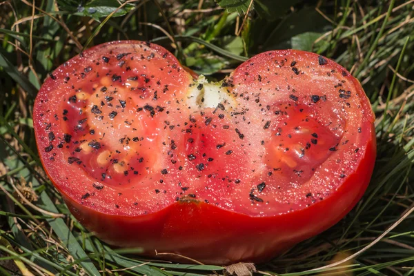 Tomato heart on grass