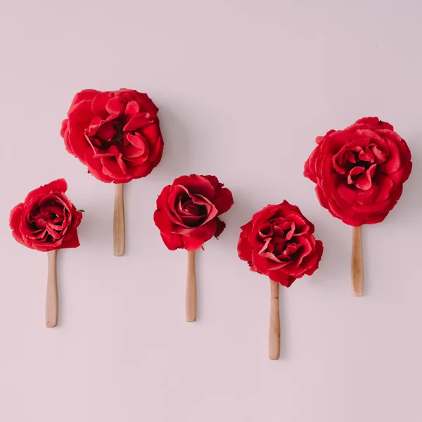 Red roses with lollipop sticks