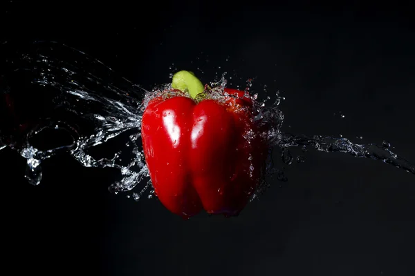 Red bell pepper with water splash on black