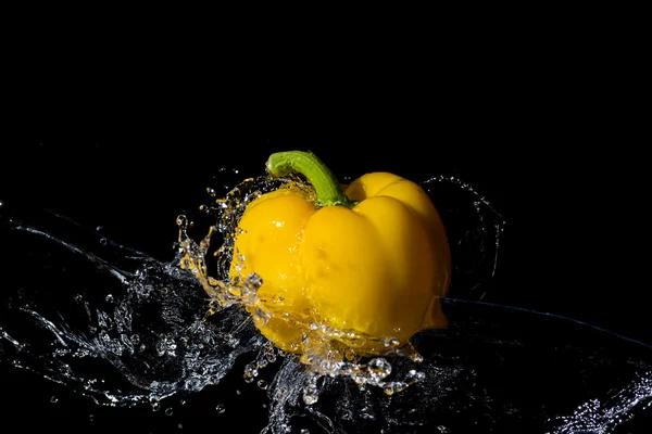 Yellow paprika with water splash on black
